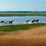 Glueck Ahoi * Insel Poel