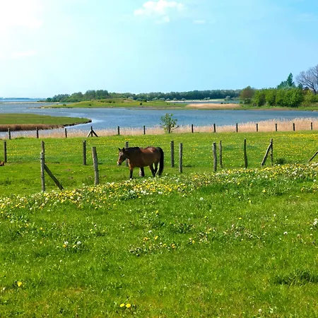 Glueck Ahoi شقة Einhusen (Rostock)