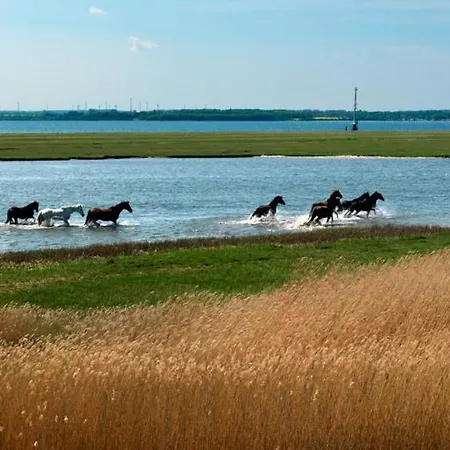 Glueck Ahoi * Einhusen (Rostock)